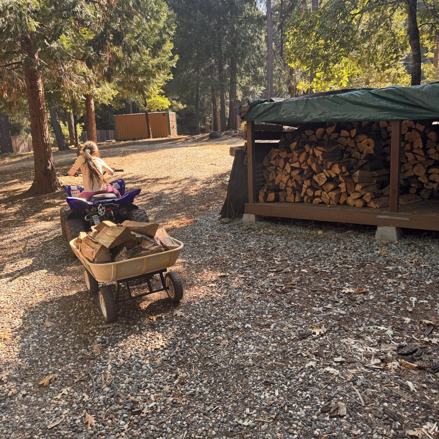 Working Together: The Heart of Homesteading