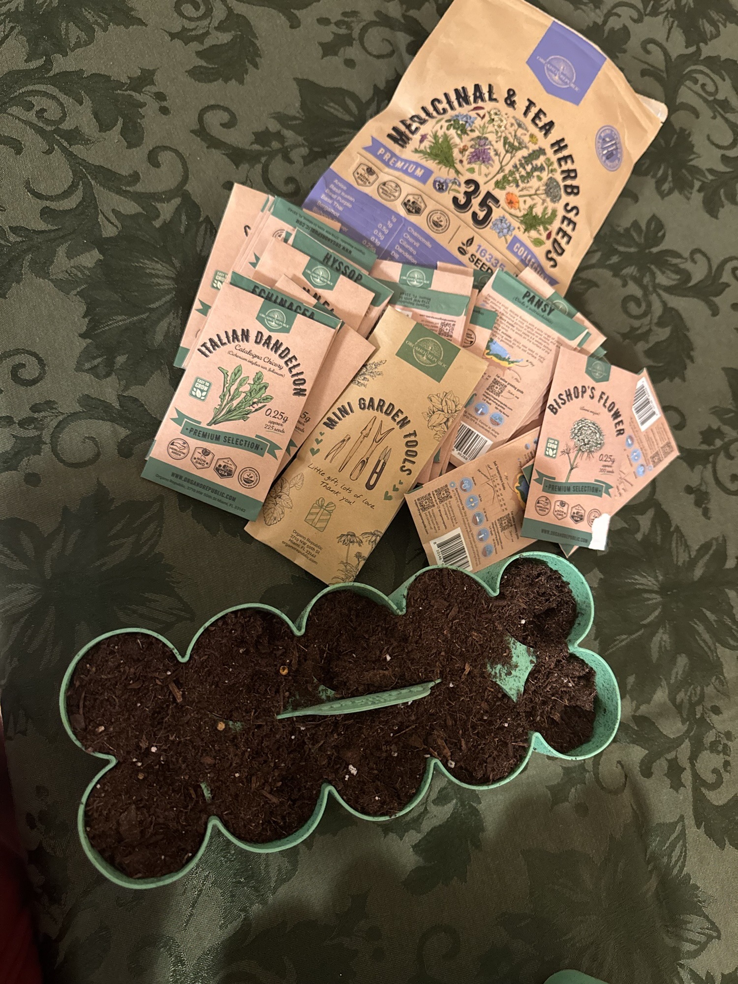 How to select seeds: Heirloom versus Organic? or both